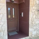 Case de vacanță Metaxenia's House 101
